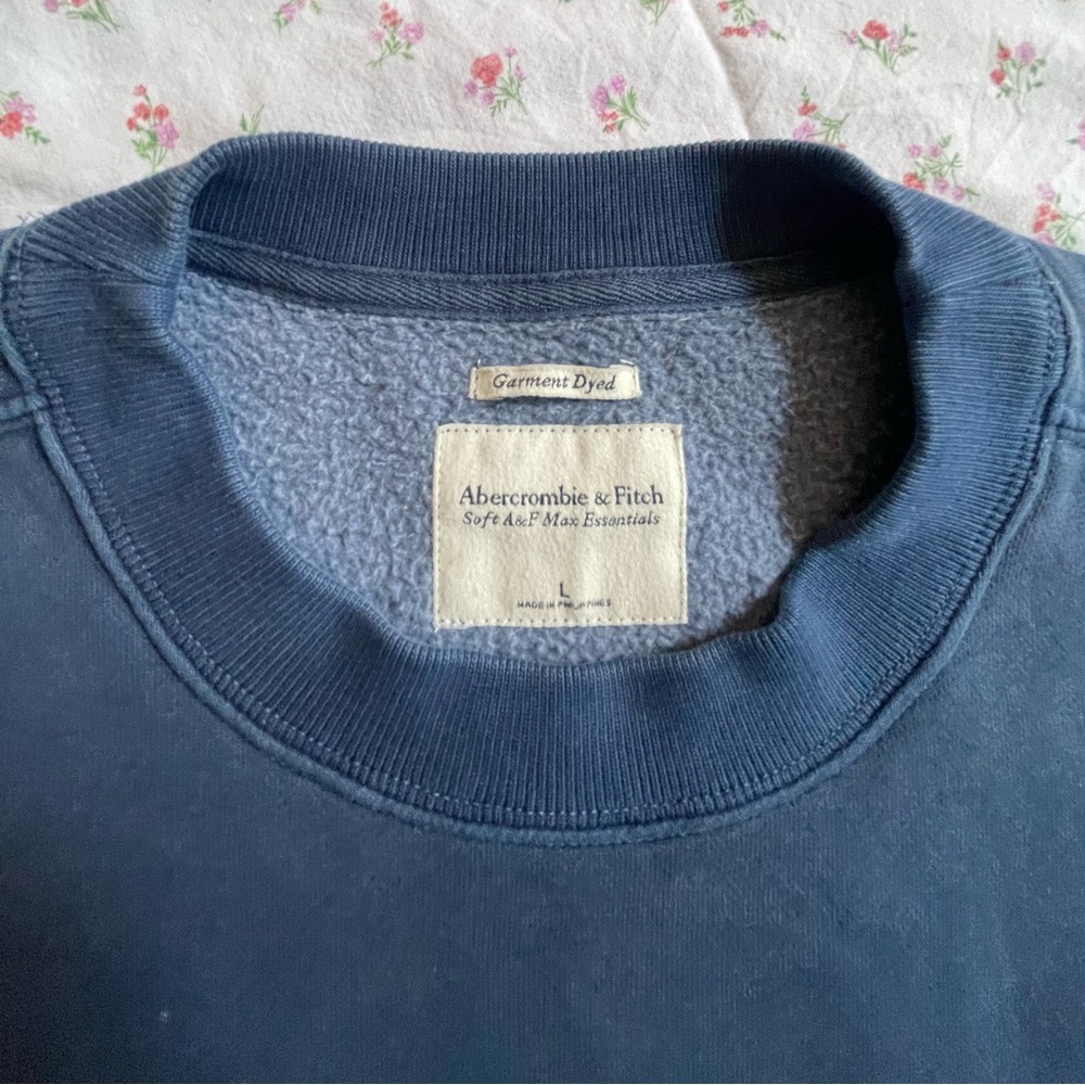 Abercrombie & Fitch cropped crewneck sweatshirt